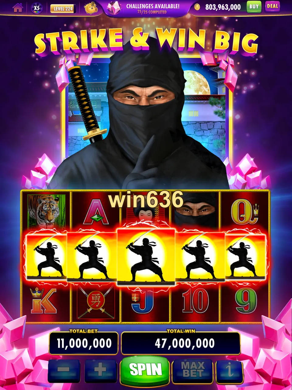 win636 APK
